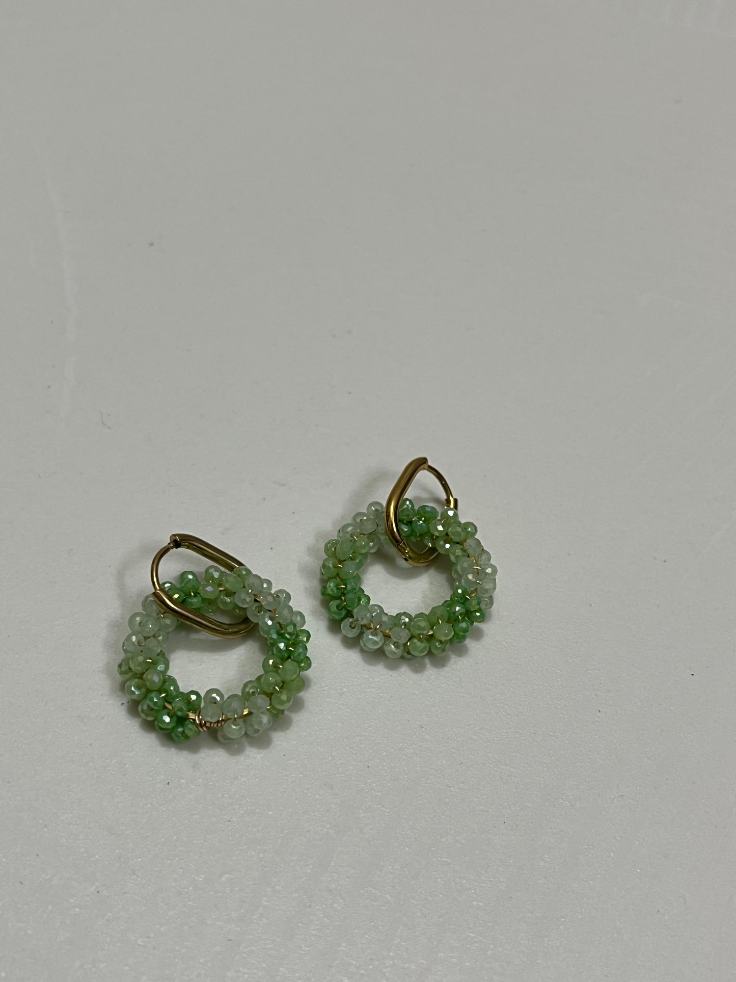 LushLoop Earrings🌿💫