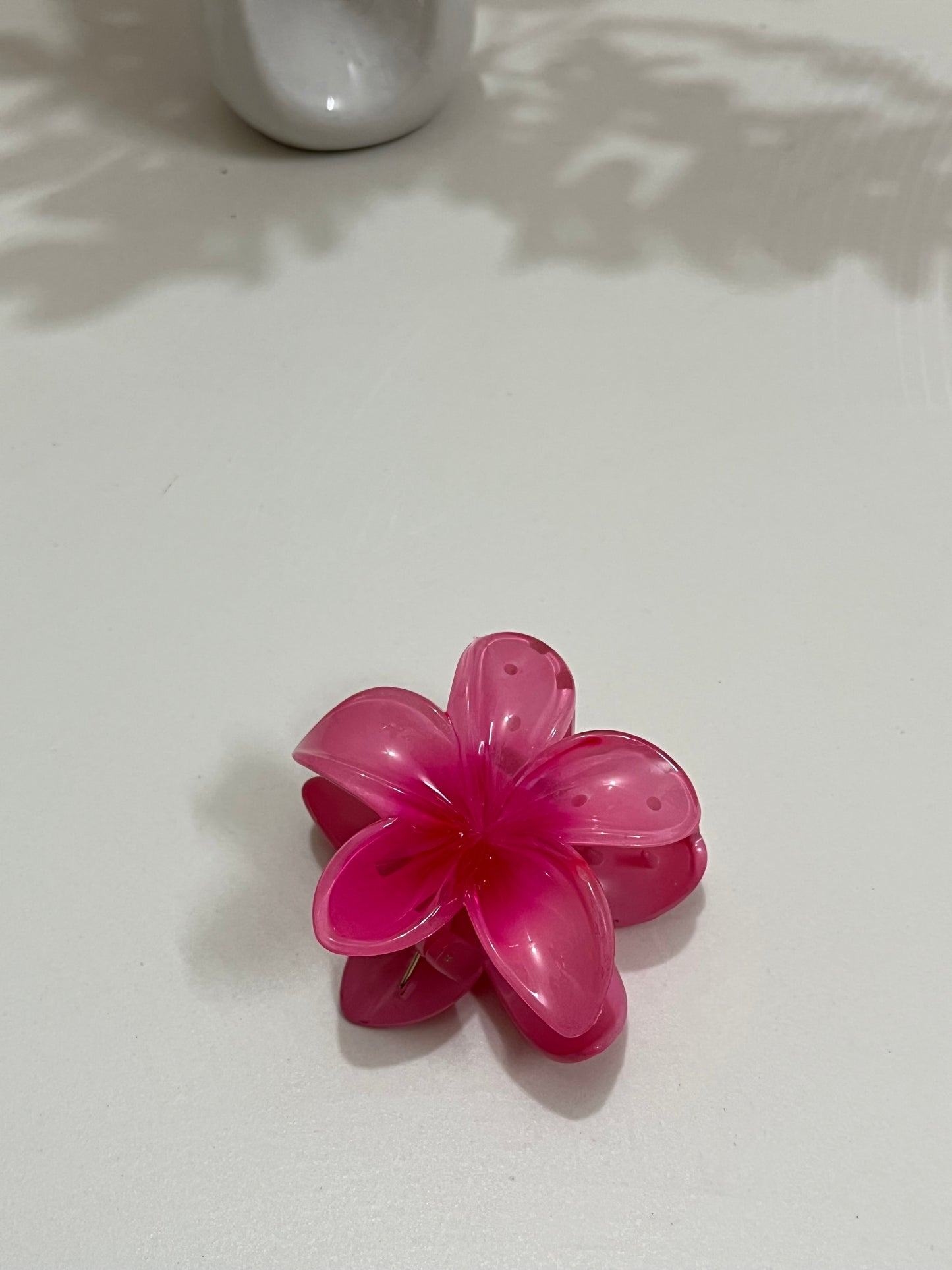 Berry Bloom ๐บ๐