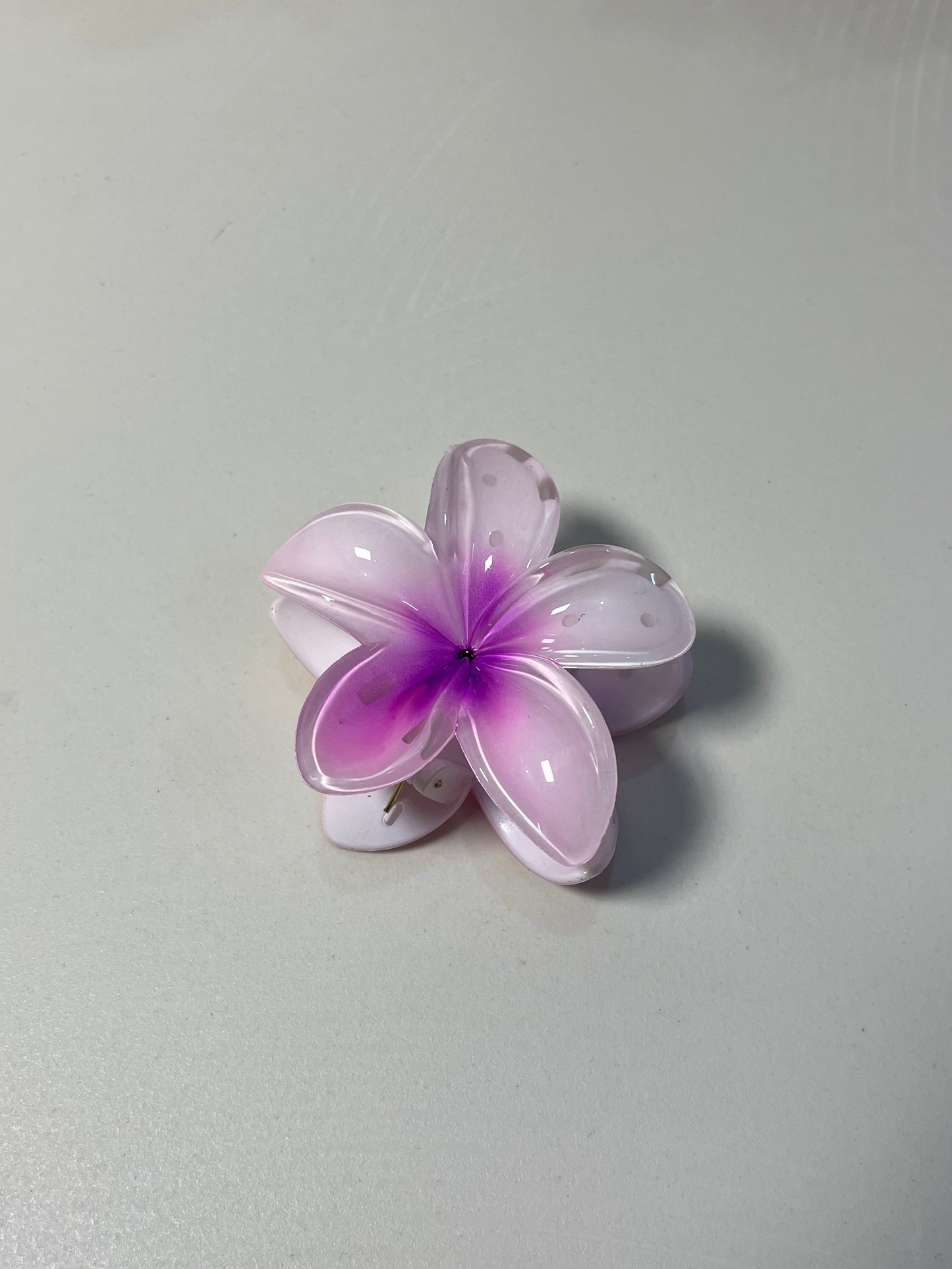 Blush Bloom πΈπ