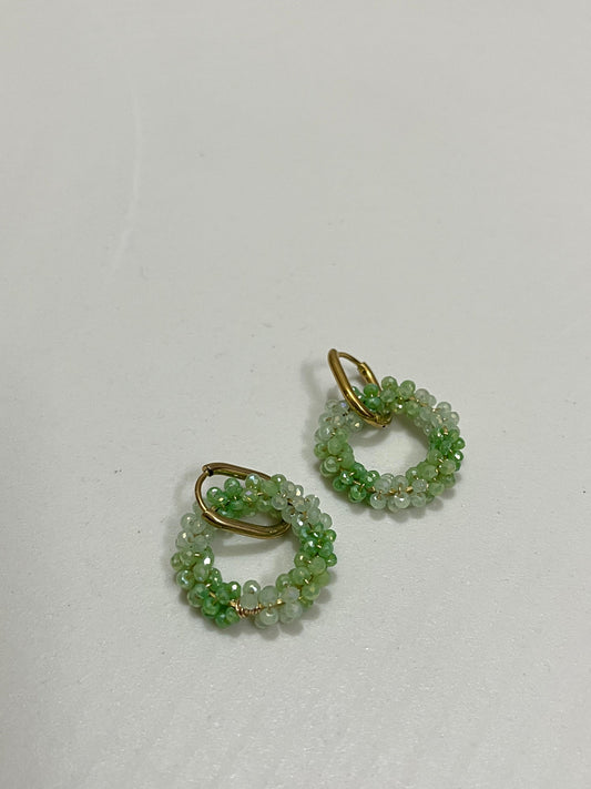LushLoop Earrings🌿💫