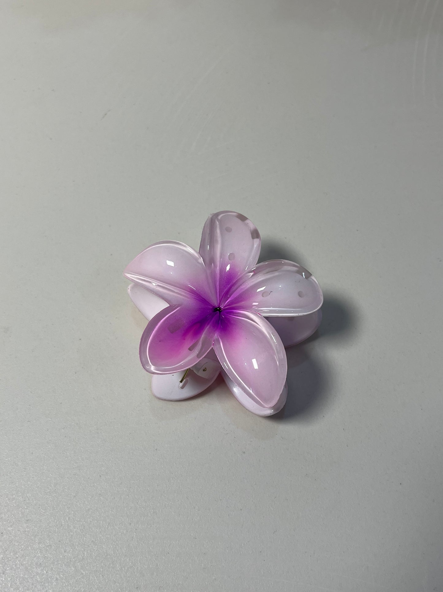 Blush Bloom 🌸💖