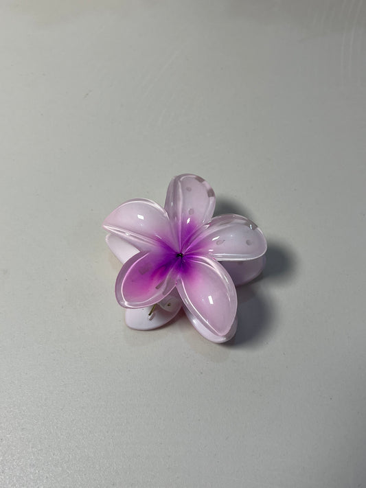 Blush Bloom 🌸💖