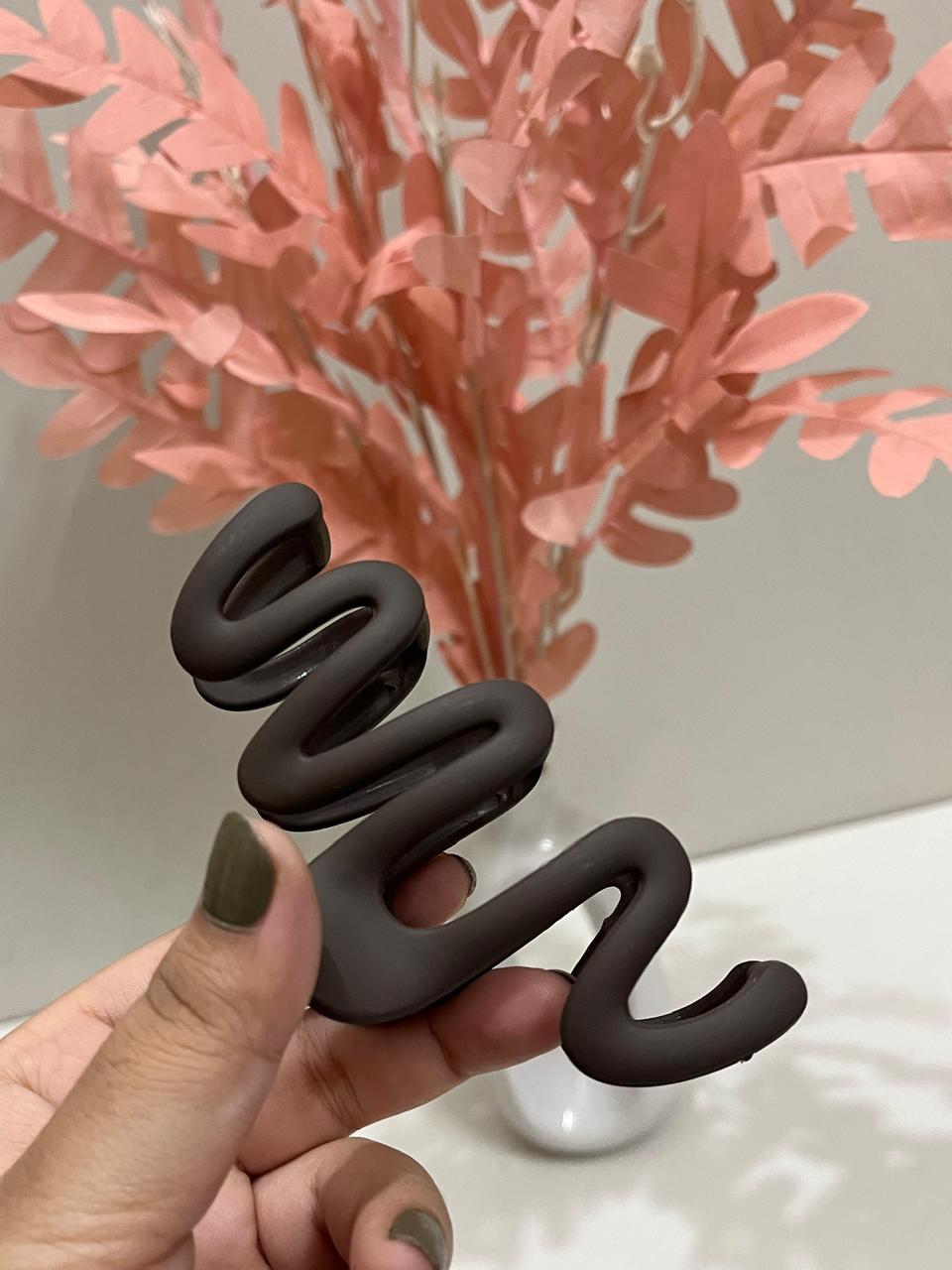 ZigZara Claw Clip✨